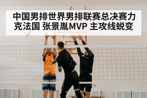 volleyball block