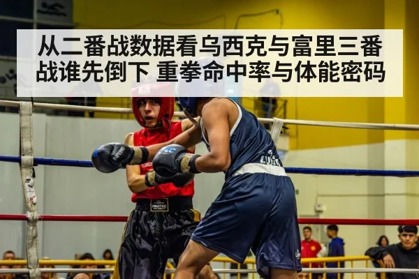 从二番战数据看乌西克与富里三番战谁先倒下 重拳命中率与体能密码